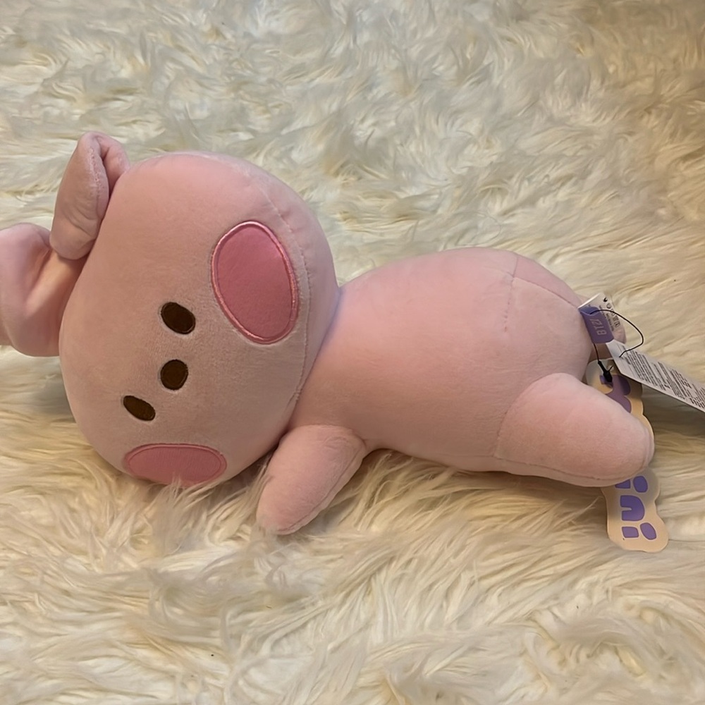 Bt21 Cooky Minini Plush